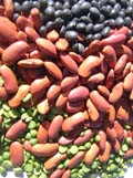 veg beans stock